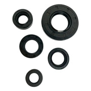 Kit de retenes de motor Gn 125 - RKS 150 - TX 150 - GXT 200 - Baisiji