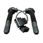 Bobina de Alta TNT 300