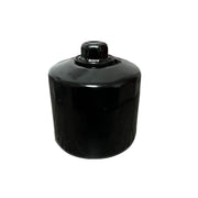 Filtro de aceite HONDA CBX 500 - Protech