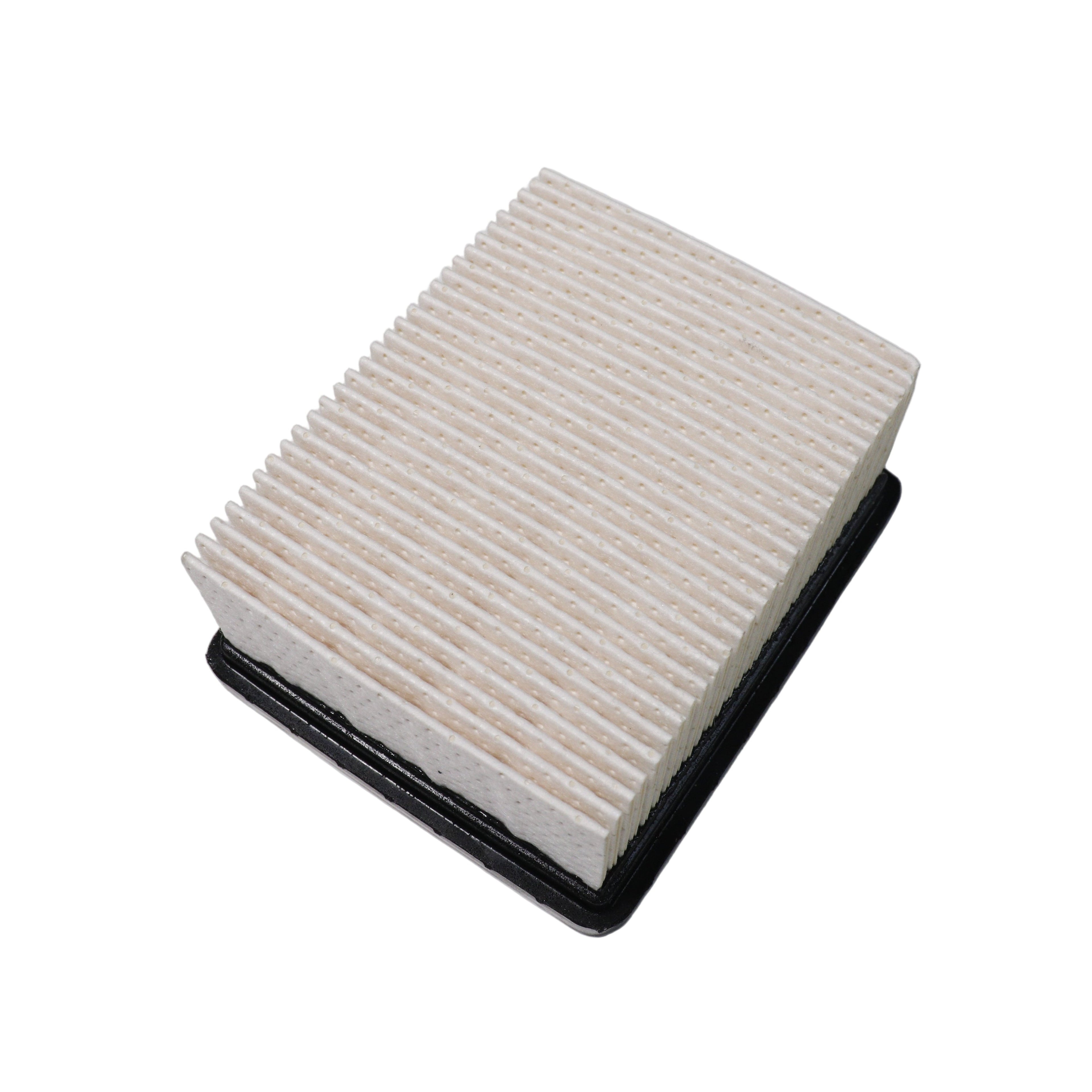 Filtro de aire BMW G310 / TVS Apache 310 - TVS Motor Original