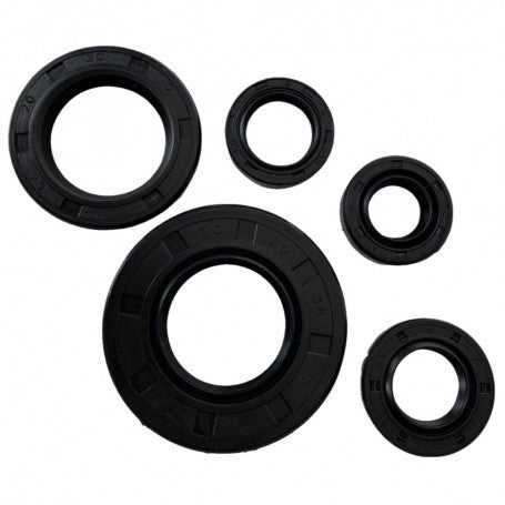 Kit de retenes de motor YBR 125 - XTZ 125 - Baisiji